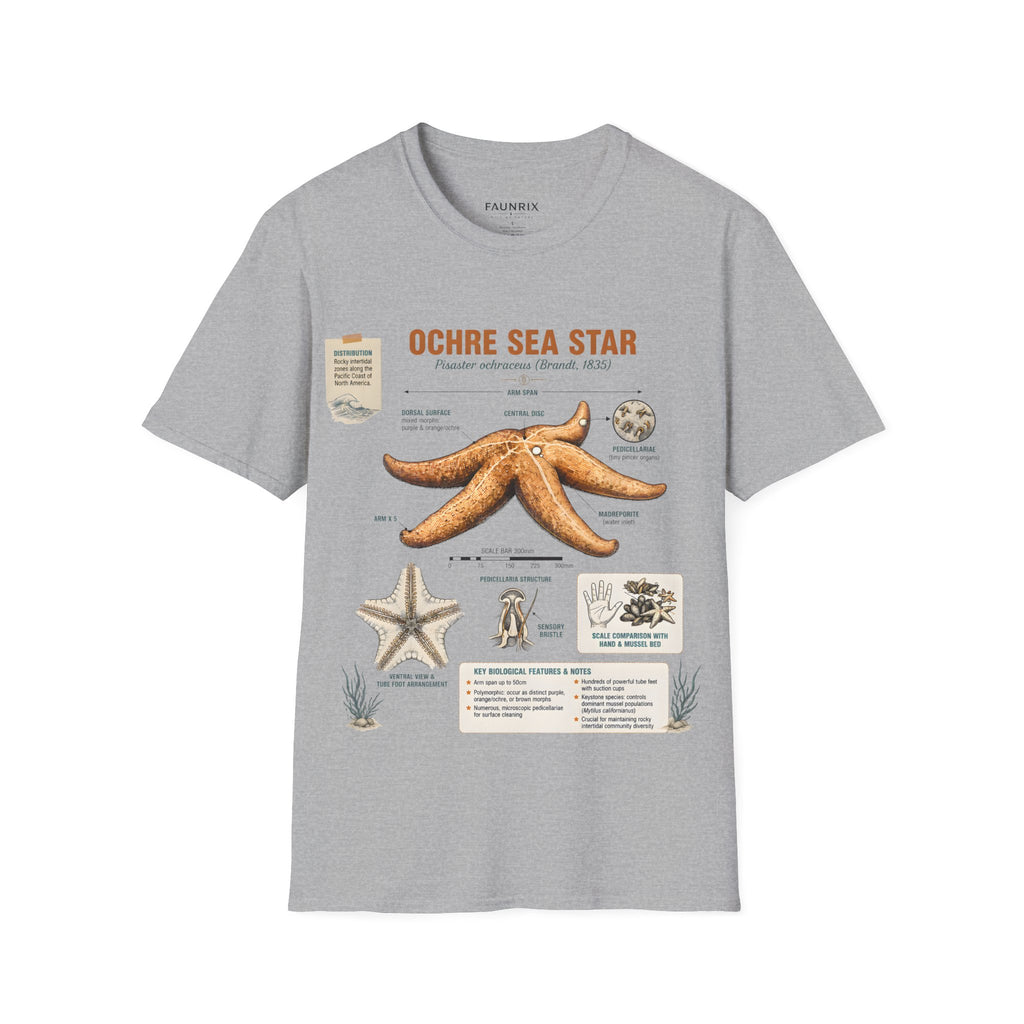 Sea Star Anatomy T-Shirt — Ochre Starfish Illustration Tee