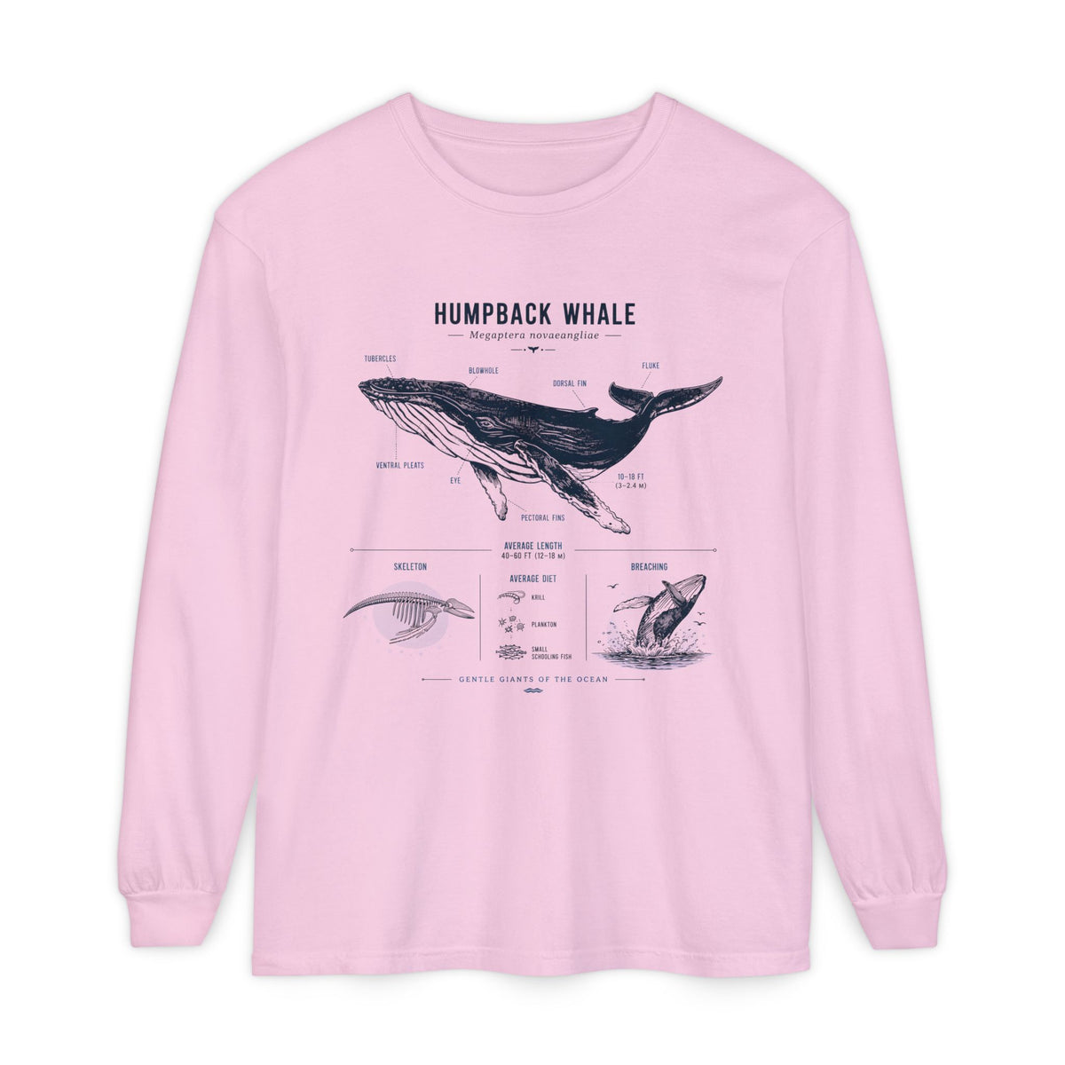 Humpback Whale Anatomy Long Sleeve Tee Main image