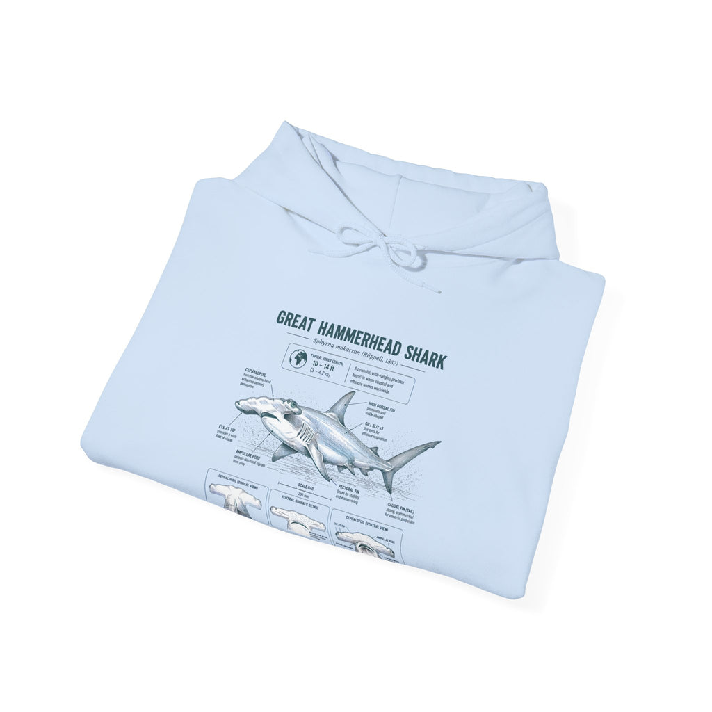 Shark Anatomy Hoodie — Great Hammerhead Shark Diagram Sweatshirt