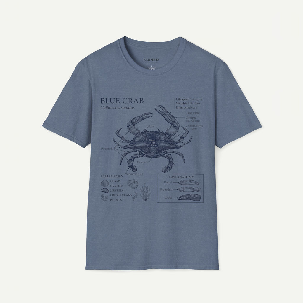 Crab Anatomy T-Shirt — Vintage Blue Crab Illustration Tee
