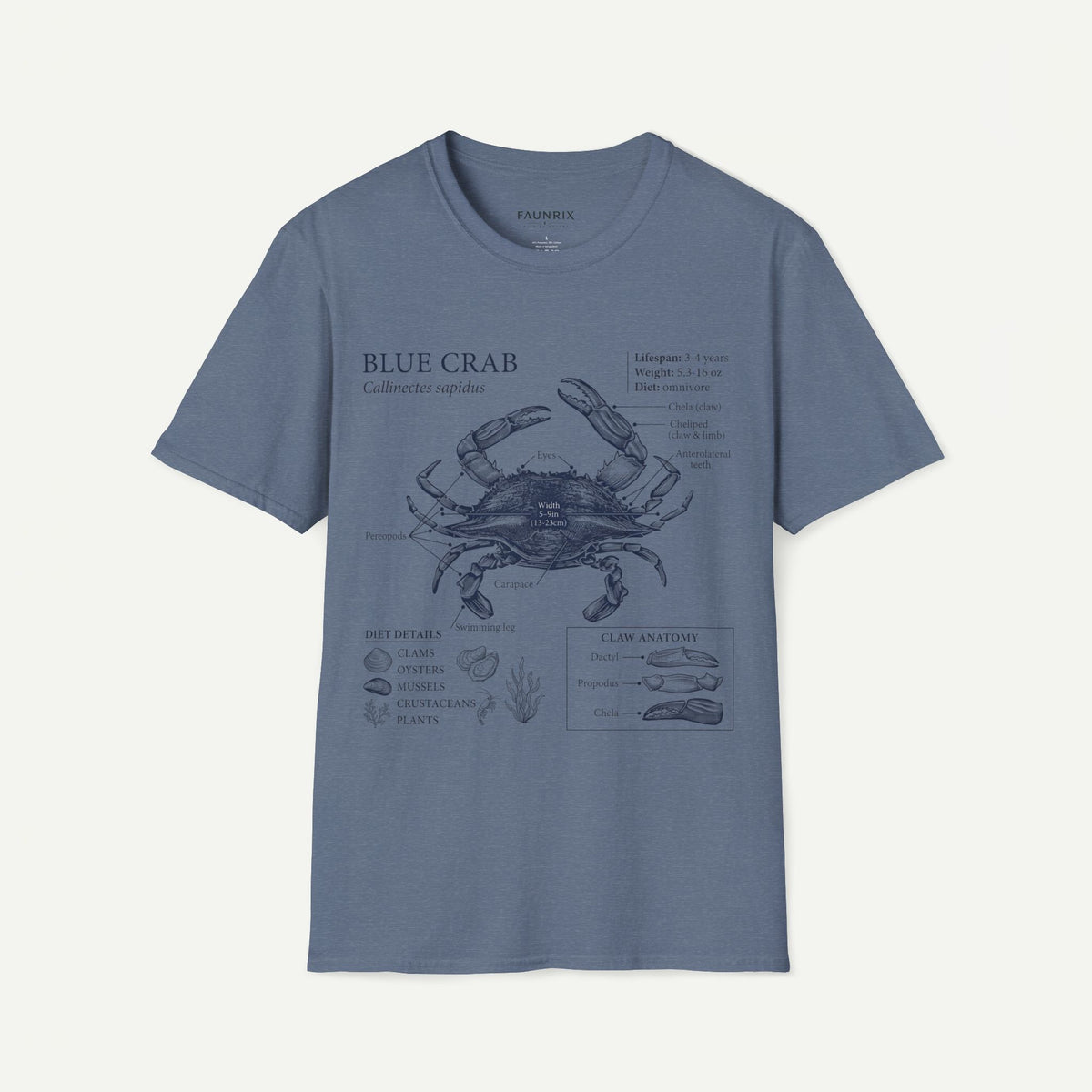 Crab Anatomy T-Shirt — Vintage Blue Crab Illustration Tee