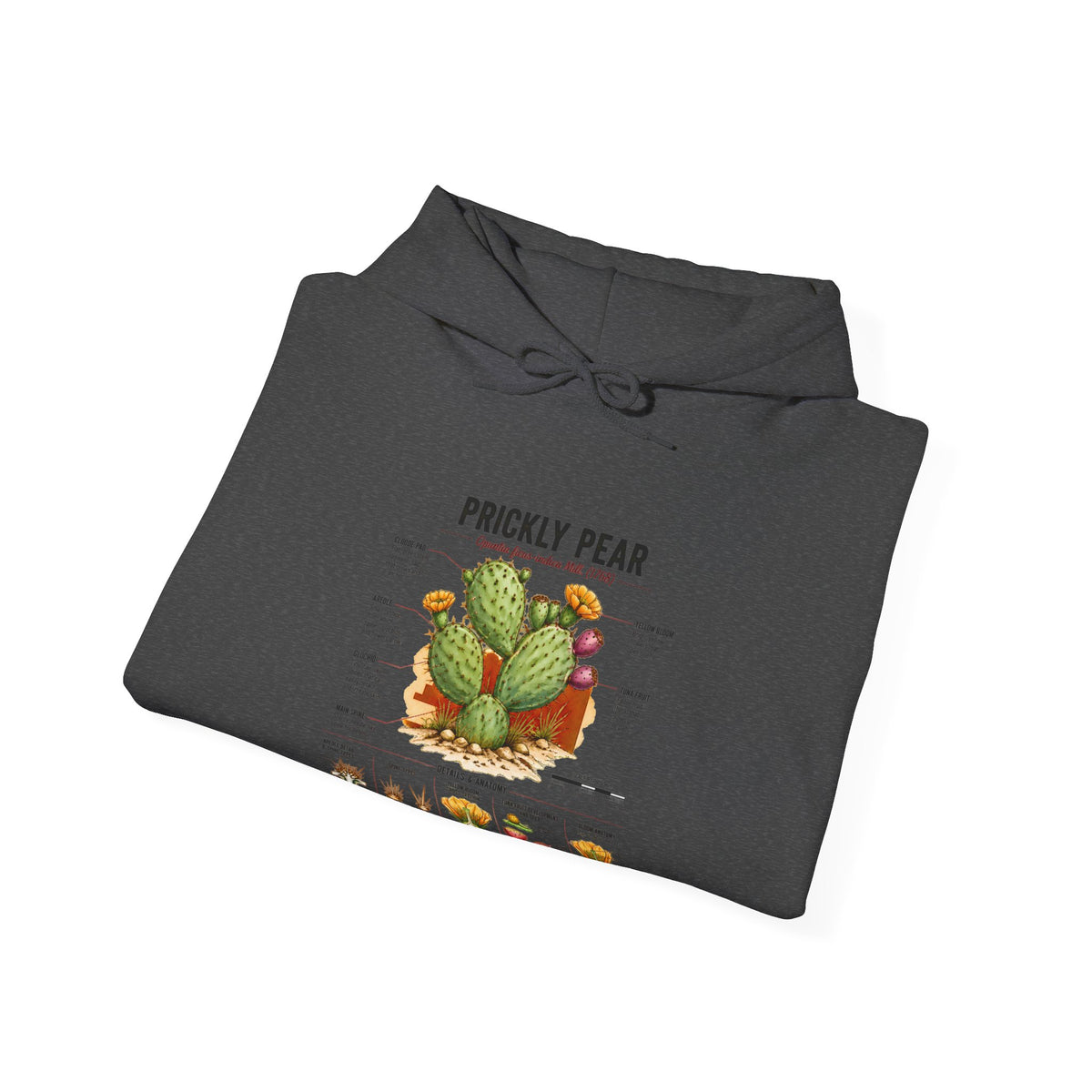 Prickly Pear Botanical Hoodie – Cactus Anatomy Illustrated Sweatshirt