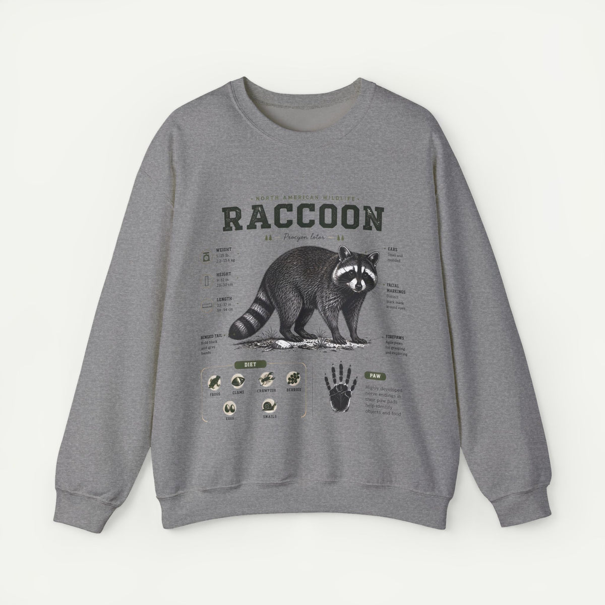 Raccoon Anatomy  Sweatshirt — Vintage Wildlife Illustration Main image
