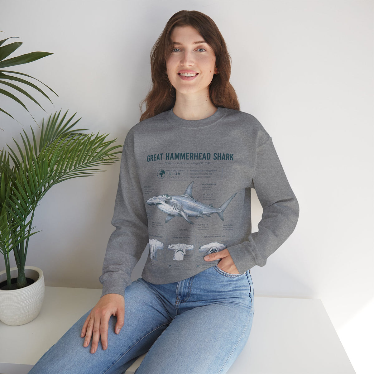 Hammerhead Shark Anatomy Sweatshirt — Great Hammerhead Shark Illustration