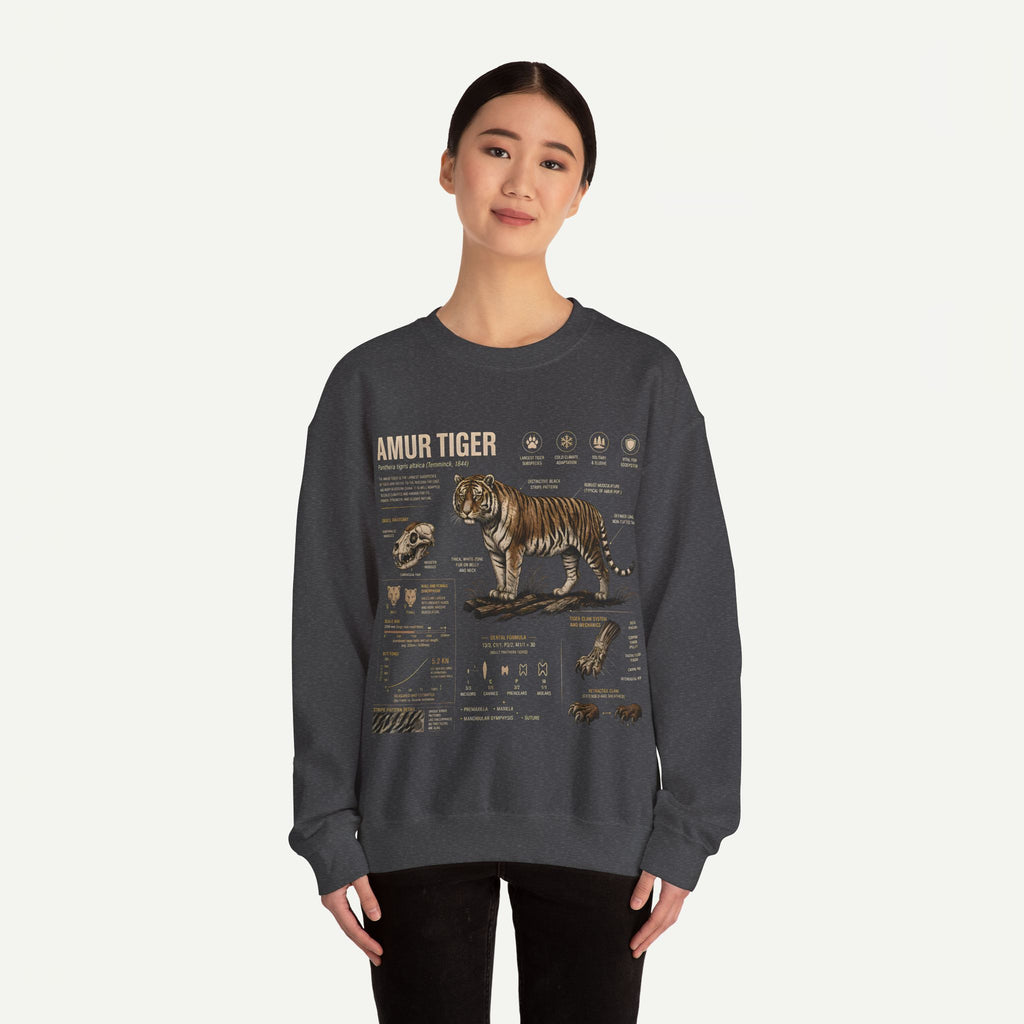 Amur Tiger Anatomy Sweatshirt — Wildlife Illustration Crewneck