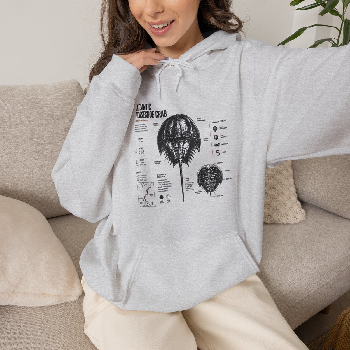Horseshoe Crab Anatomy Hoodies
