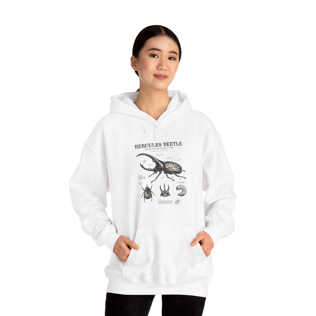 Hercules Beetle Anatomy Hoodie — Vintage Entomology Illustration Sweatshirt