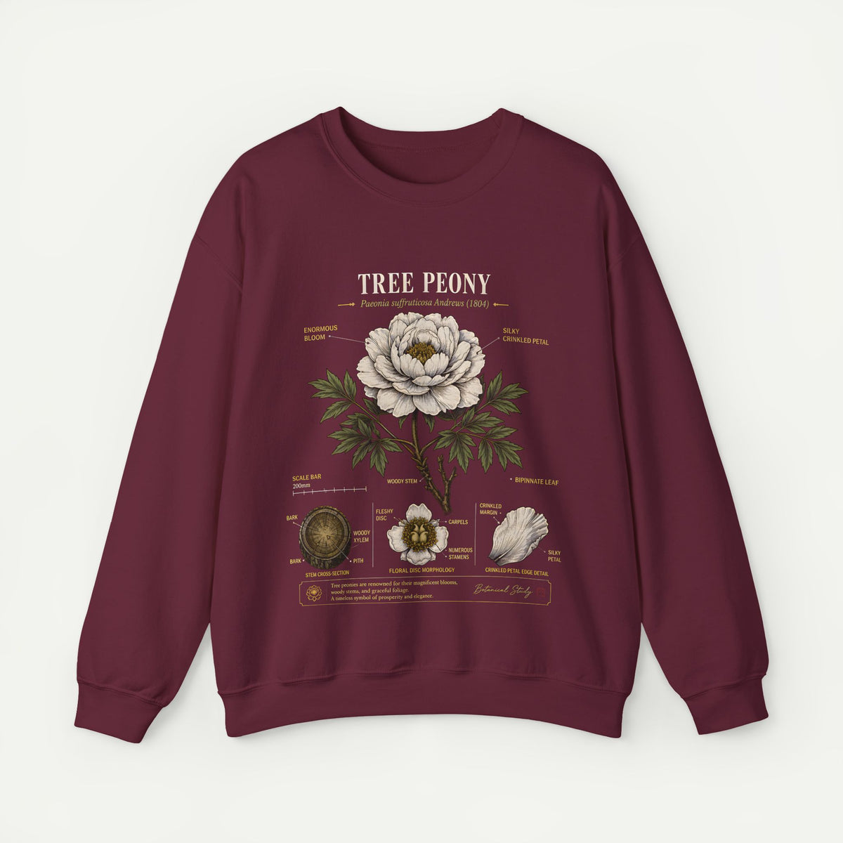 Tree Peony Botanical Sweatshirt — Vintage Flower Anatomy Crewneck