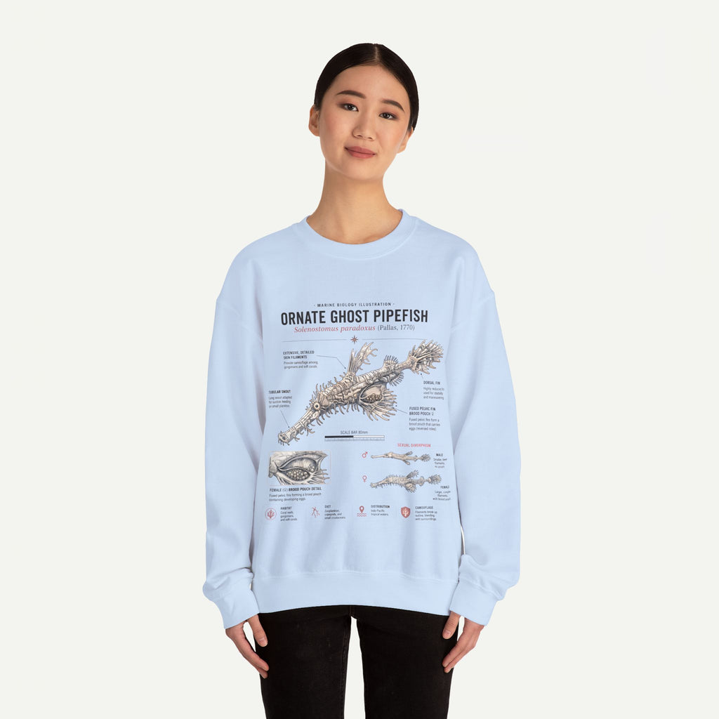 Ornate Ghost Pipefish Anatomy Sweatshirt