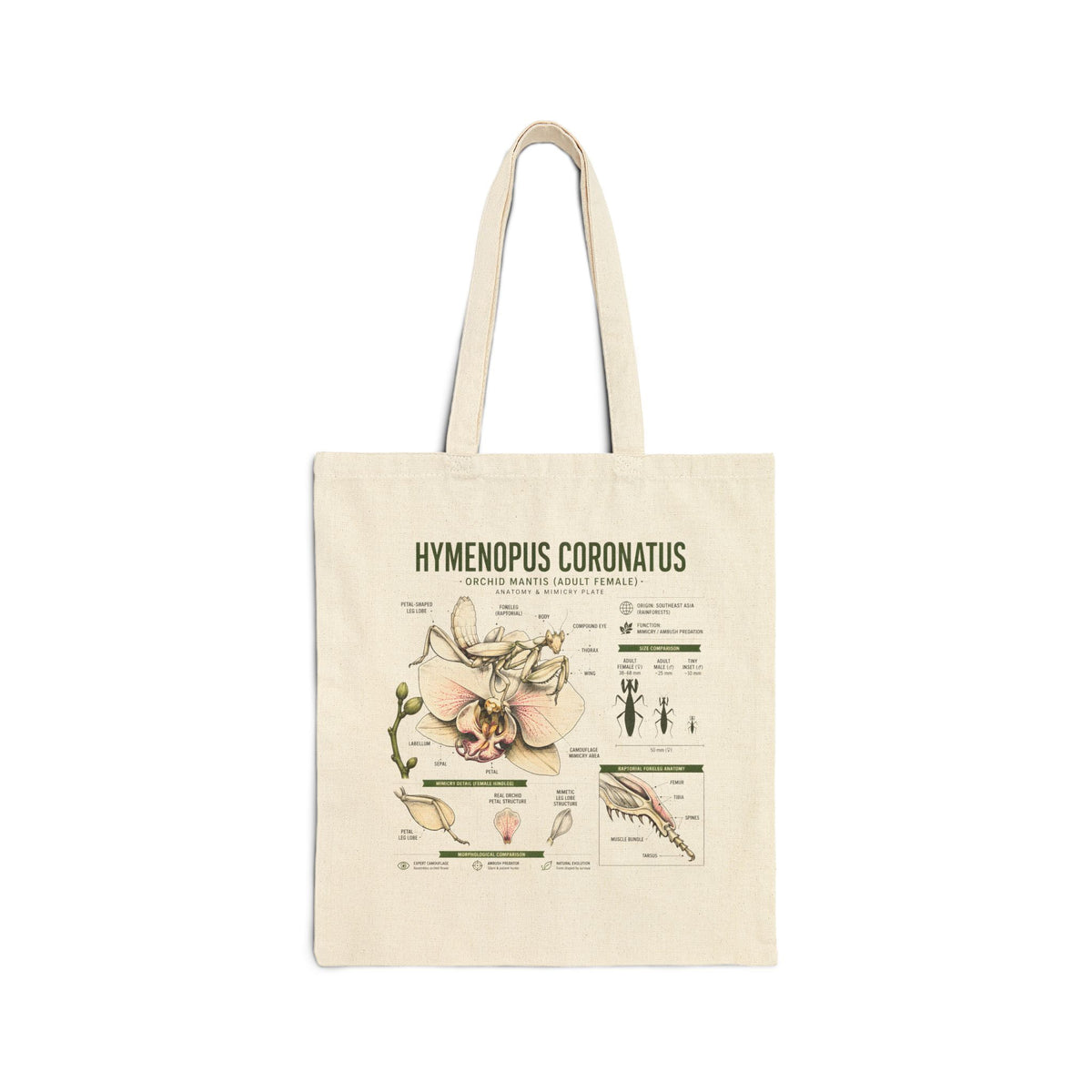 Hymenopus Coronatus Botanical Tote Bag — Praying Mantis Anatomy Canvas Tote
