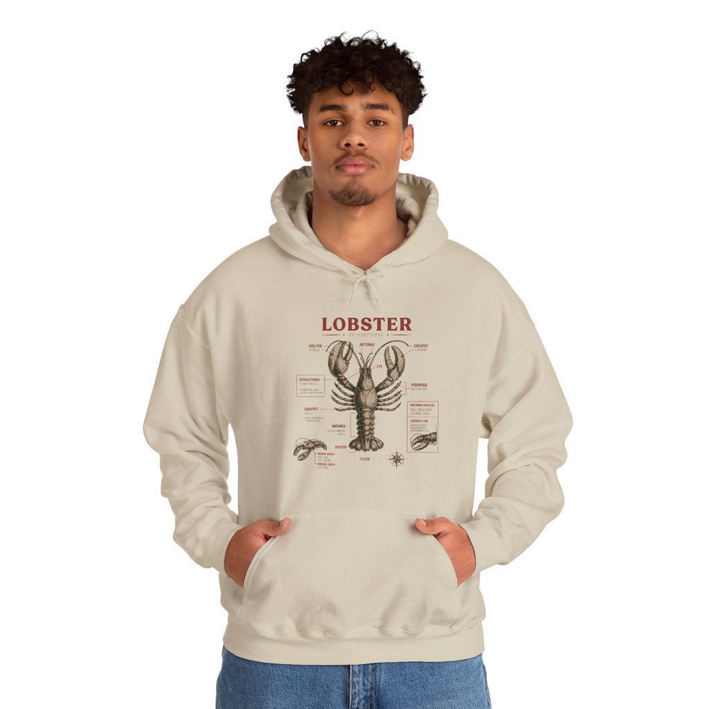 Lobster Anatomy Hoodie – Nautical Seafood Illustration Pullover