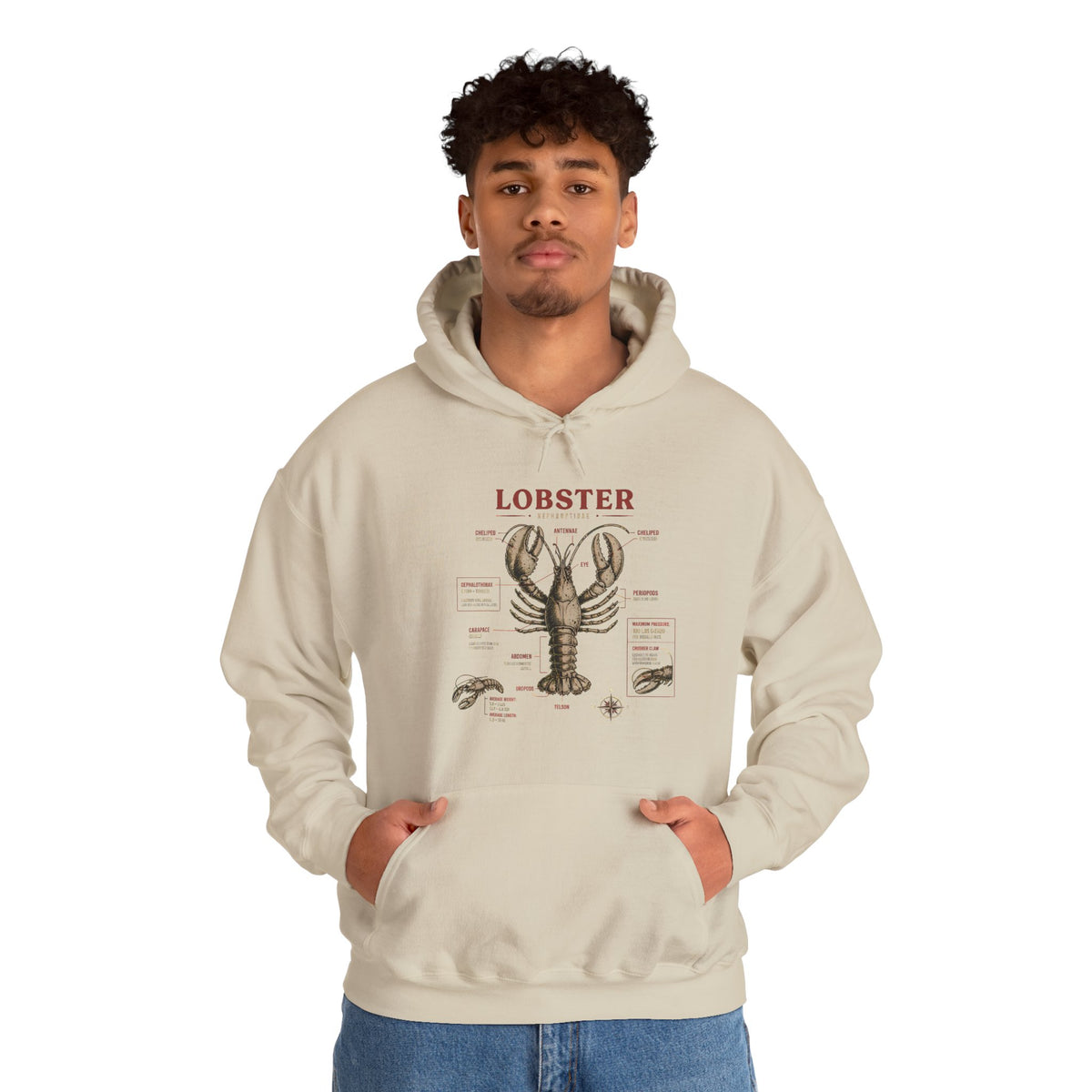 Lobster Anatomy Hoodie – Nautical Seafood Illustration Pullover
