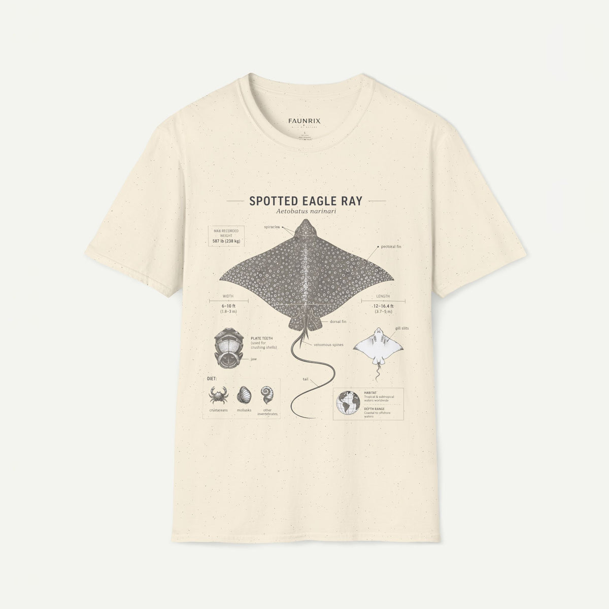 Spotted Eagle Ray Anatomy T-Shirt — Marine Life Graphic Tee