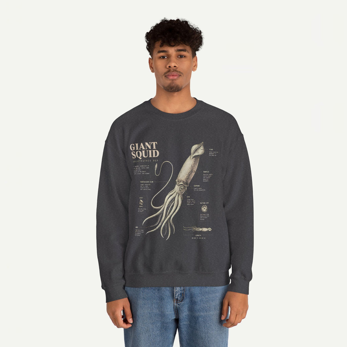 Giant Squid Anatomy Sweatshirt — Vintage Nautical Marine Biology Crewneck