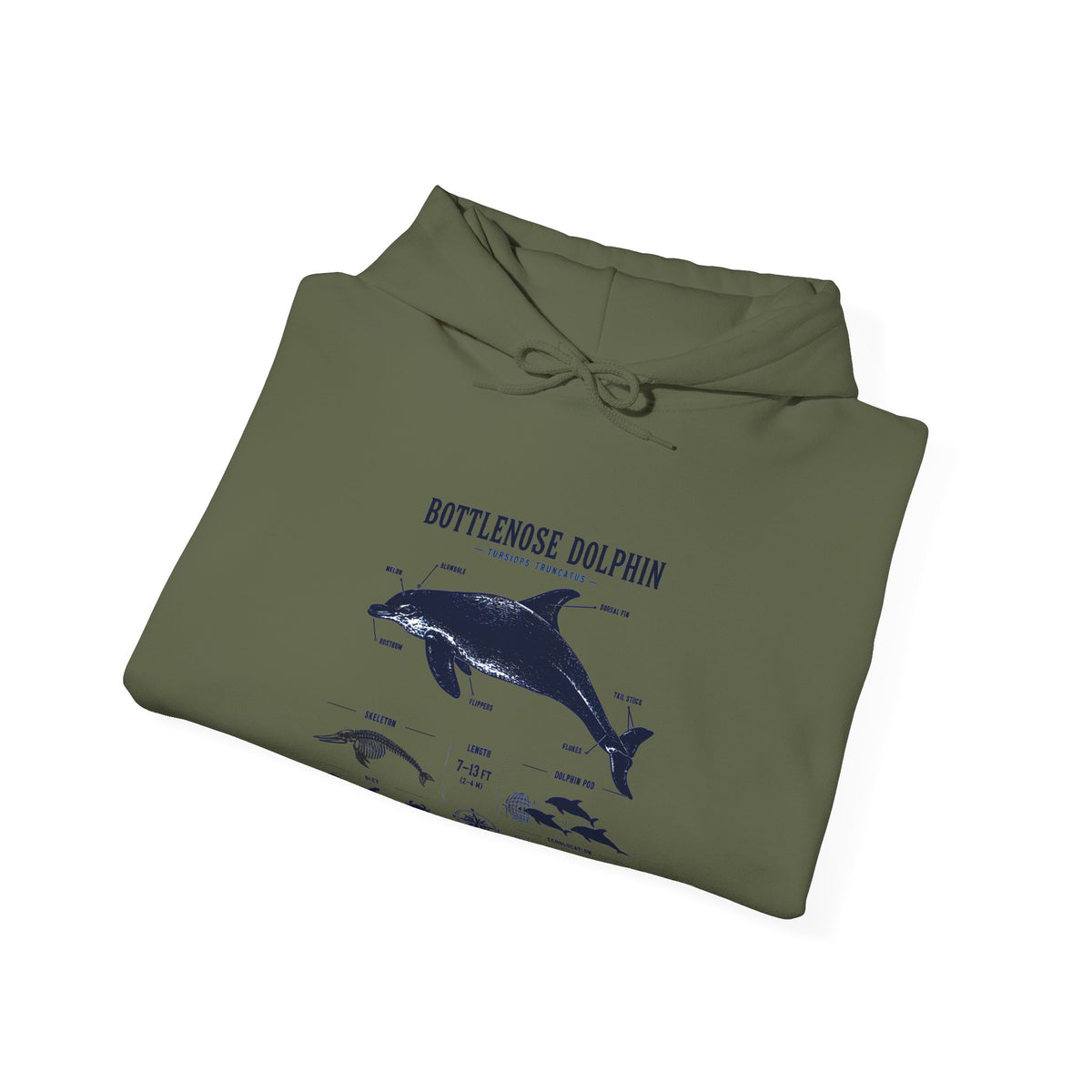 Bottlenose Dolphin Diagram Hoodie – Marine Life Anatomy Sweatshirt