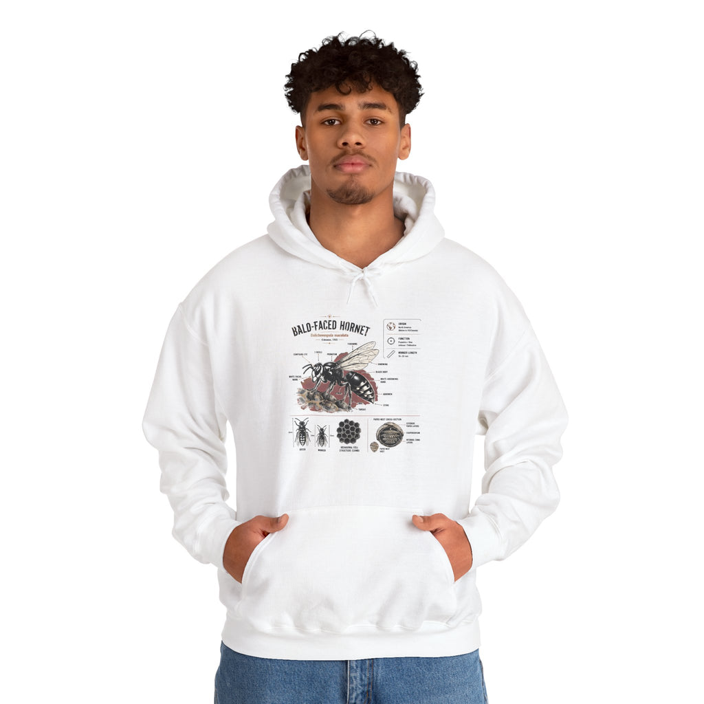 Bee Anatomy Hoodie — Bald-Faced Hornet Illustration & Diagram Sweatshirt
