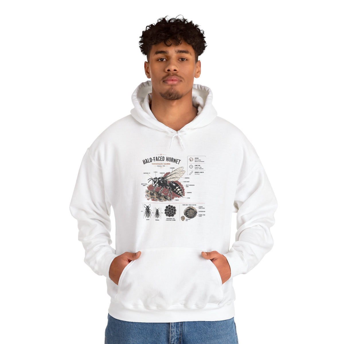 Bee Anatomy Hoodie — Bald-Faced Hornet Illustration & Diagram Sweatshirt