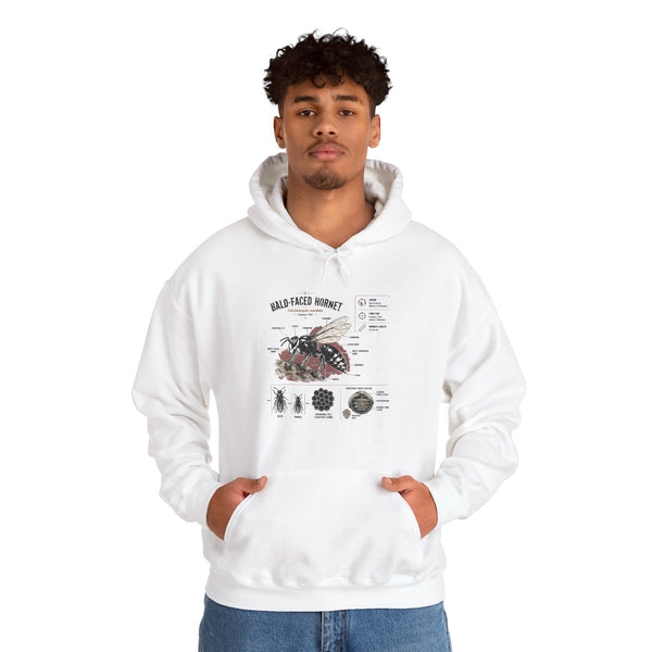 Bee Anatomy Hoodie — Bald-Faced Hornet Illustration & Diagram Sweatshirt
