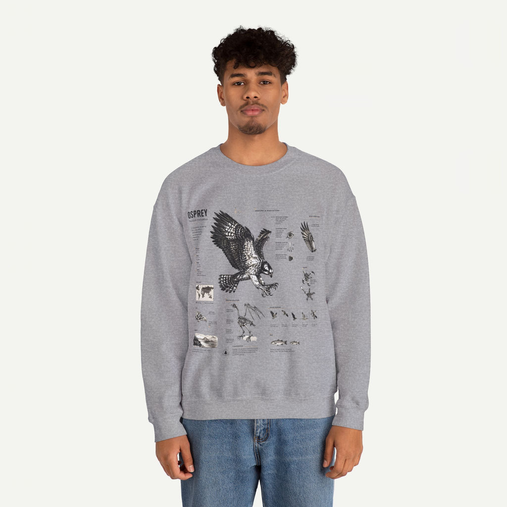 Osprey Anatomy Sweatshirt — Illustrated Bird Guide Pullover