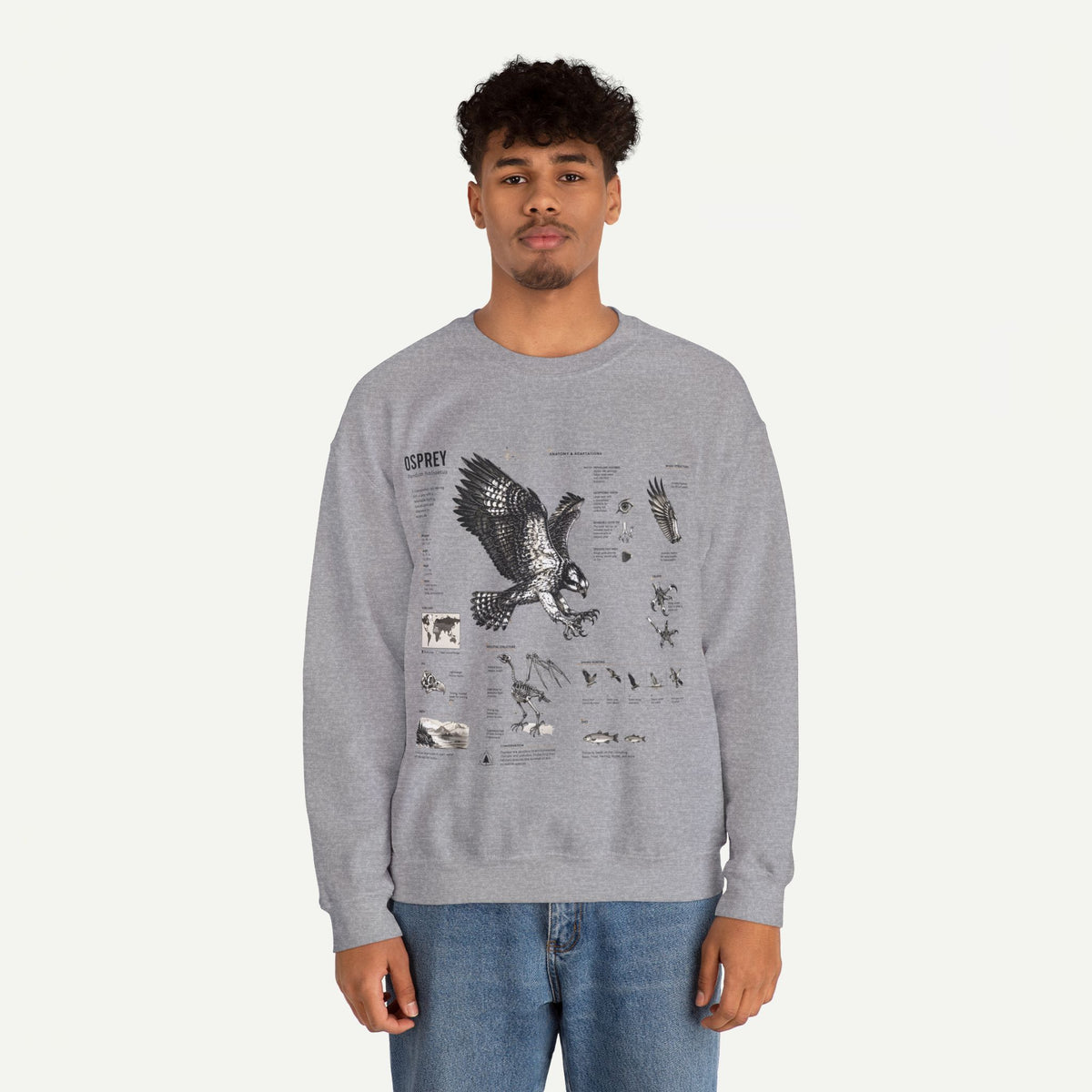Osprey Anatomy Sweatshirt — Illustrated Bird Guide Pullover