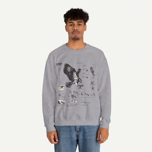 Osprey Anatomy Sweatshirt — Illustrated Bird Guide Pullover