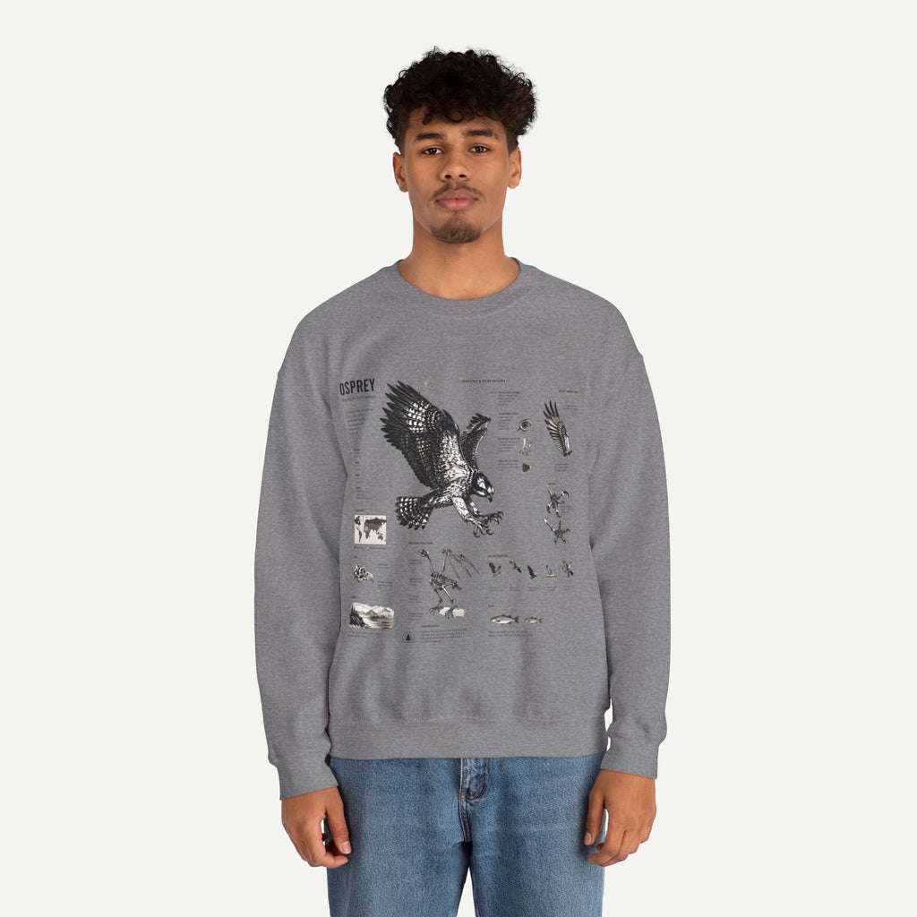 Osprey Anatomy Sweatshirt — Illustrated Bird Guide Pullover
