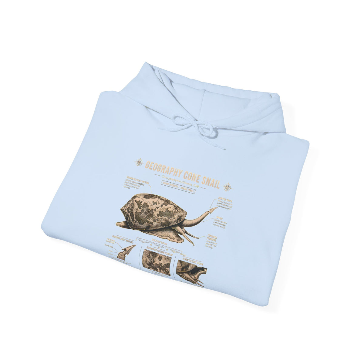 Turtle Anatomy Hoodie — Vintage Sea Turtle Illustration, "Be Different, Embrace Your Shell" Sweatshirt