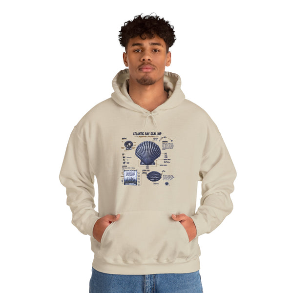 Seashell Anatomy Hoodie – Nautical Beach Diagram Sweatshirt