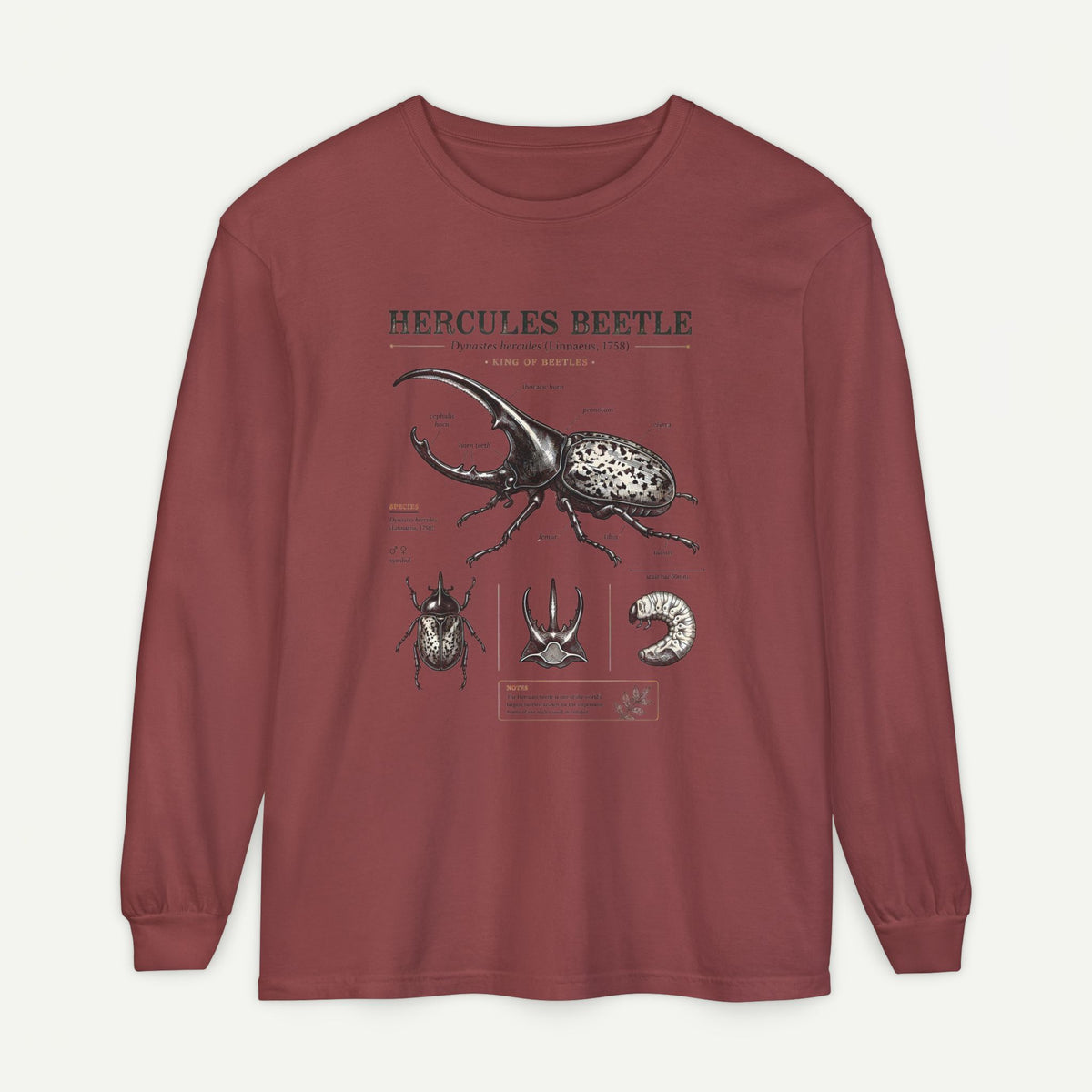 Hercules Beetle Anatomy Long Sleeve Tee