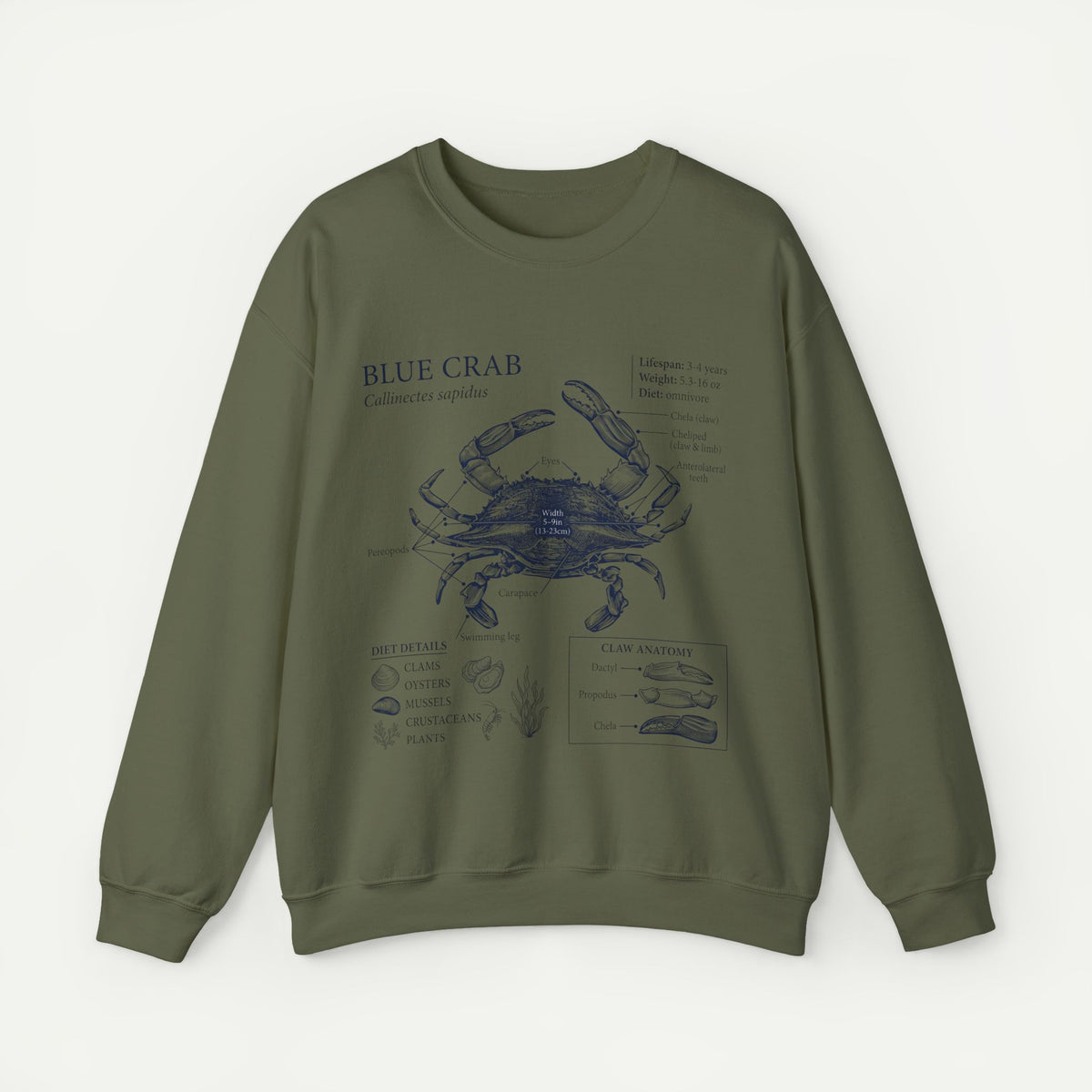 Blue Crab Anatomy Crewneck Sweatshirt – Marine Biology Graphic Pullover
