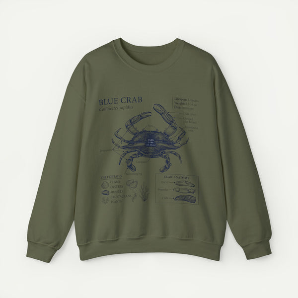 Blue Crab Anatomy Crewneck Sweatshirt – Marine Biology Graphic Pullover
