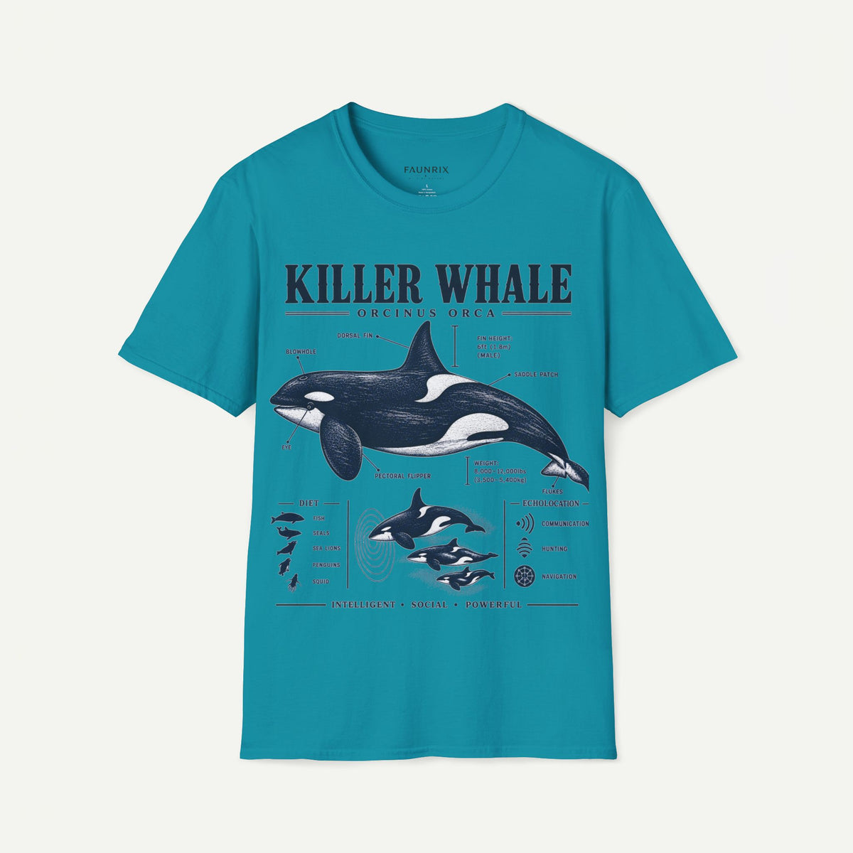 Killer Whale Diagram T-Shirt — Orcinus Orca Marine Life Graphic Tee