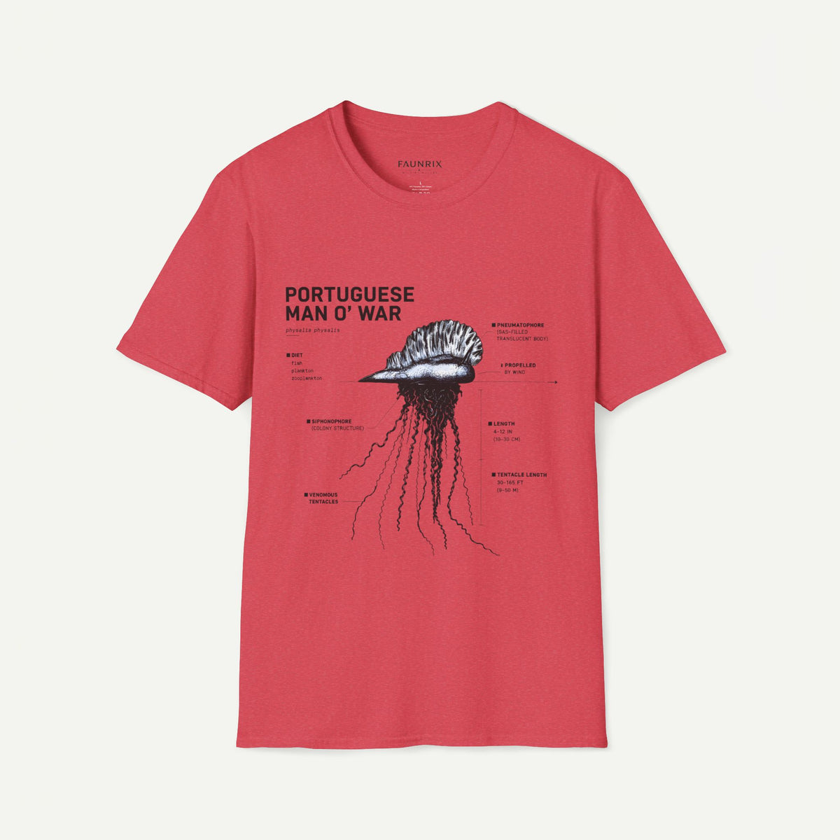 Portuguese Man O' War Anatomy T-Shirt — Marine Biology Graphic Tee Main image