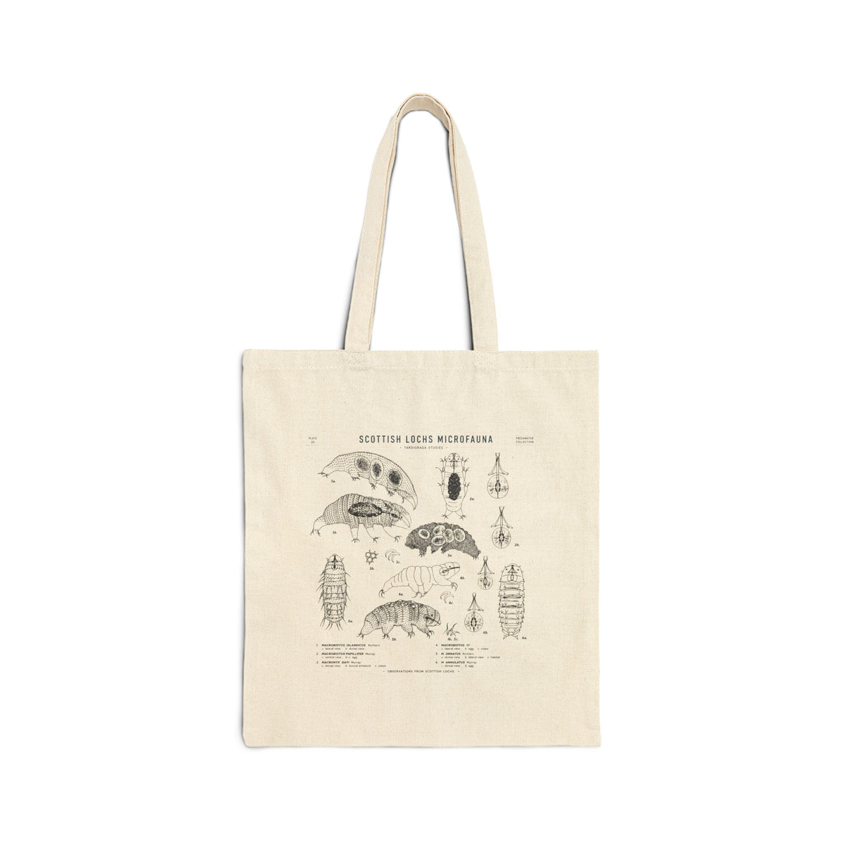 Vintage Tardigrade Anatomy Illustration Cotton Canvas Tote