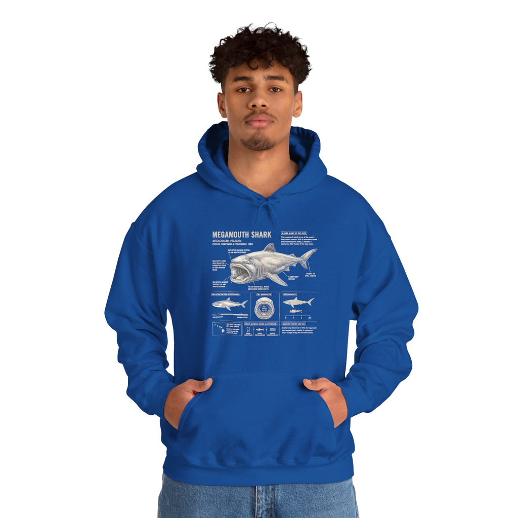 Shark Anatomy Hoodie — Vintage Megalodon Illustration Pullover