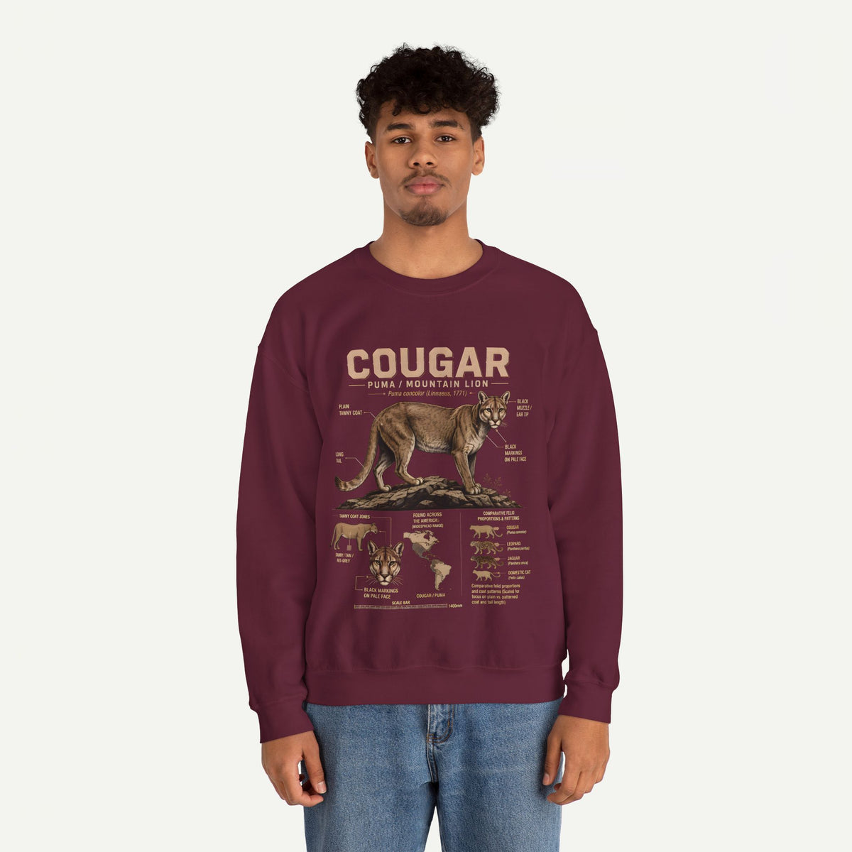 Cougar Anatomy Sweatshirt – Puma / Mountain Lion Educational Crewneck