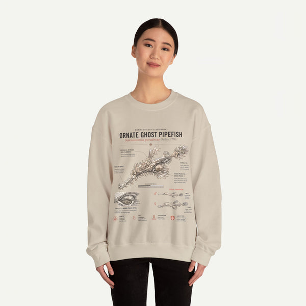 Ornate Ghost Pipefish Anatomy Sweatshirt