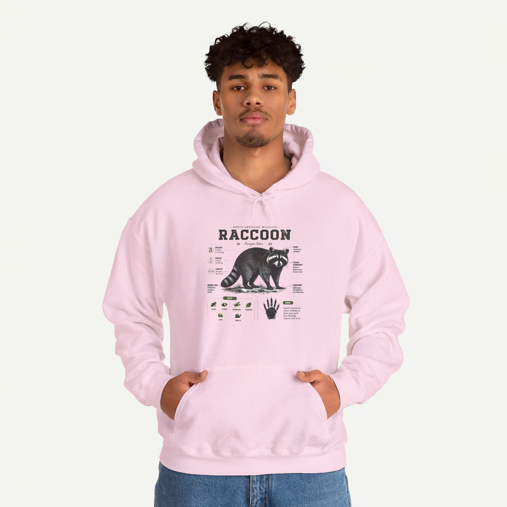 Raccoon Anatomy Hoodie — Vintage Wildlife Illustration Sweatshirt