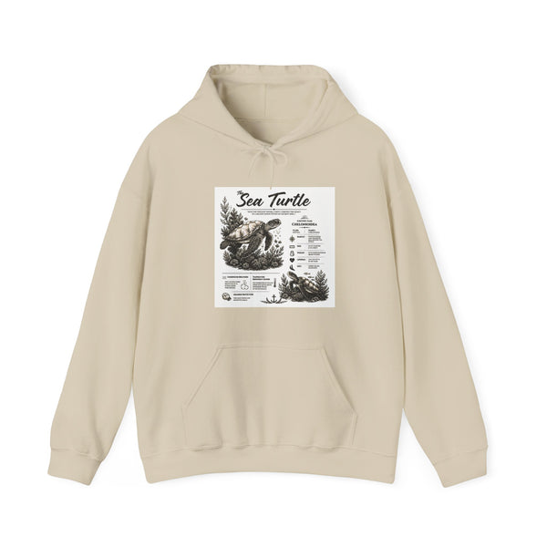 Sea Turtle Hoodie – Vintage Ocean Conservation Graphic Sweatshirt