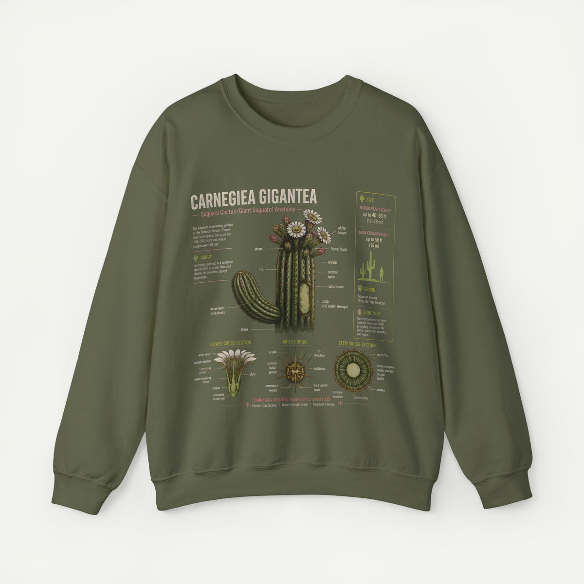 Carnegiea Gigantea Cactus Sweatshirt — Botanical Diagram Crewneck Main image
