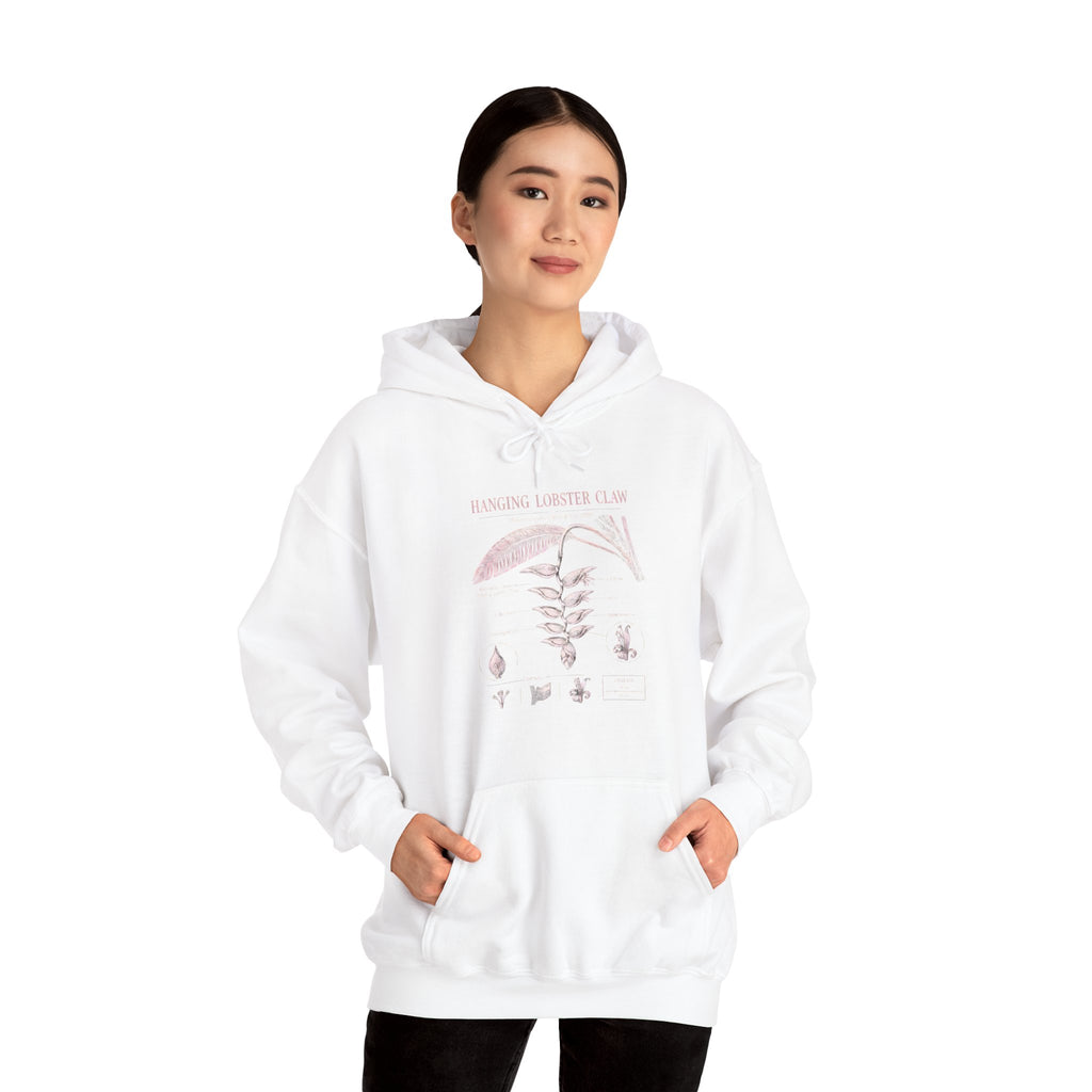 Botanical Growth Hoodie — Humming Lighter Club Plant Diagram Pullover