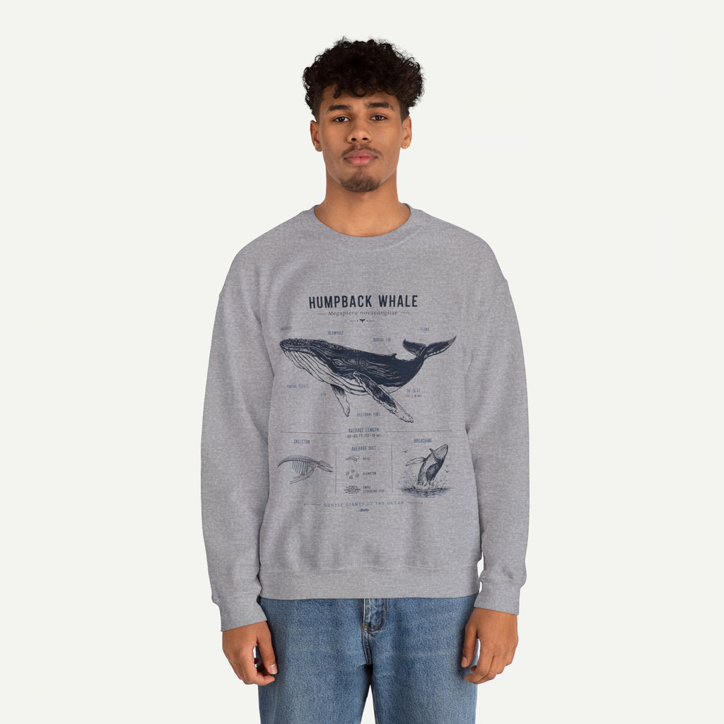Humpback Whale Anatomy Sweatshirt