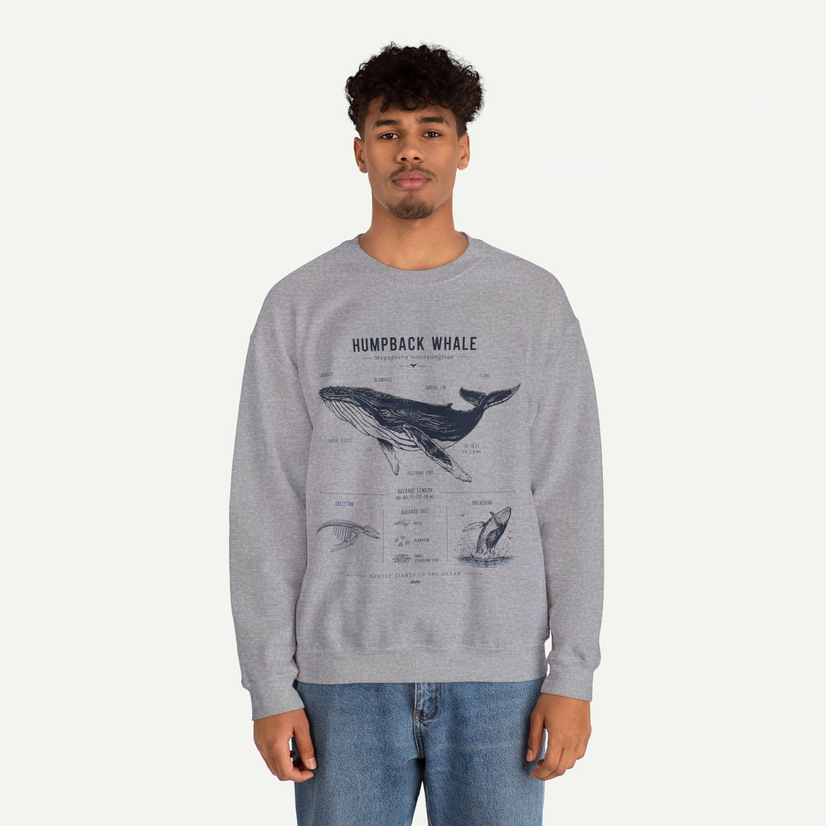 Humpback Whale Anatomy Sweatshirt