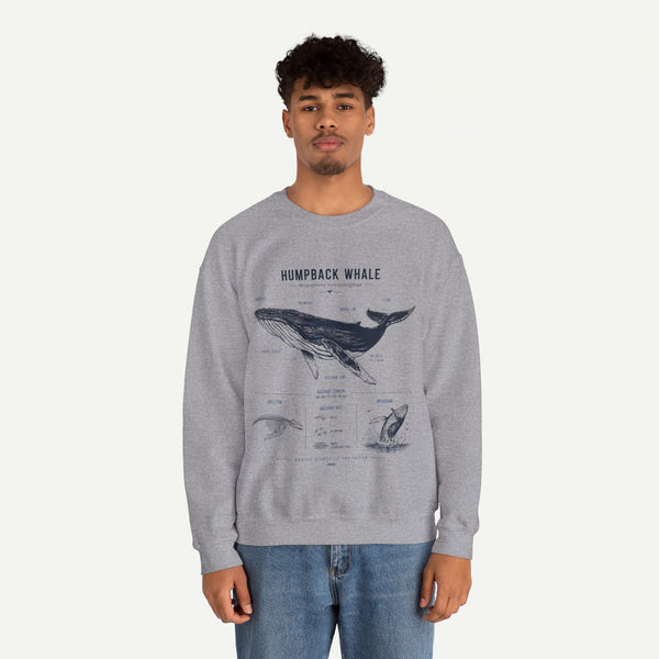 Humpback Whale Anatomy Sweatshirt