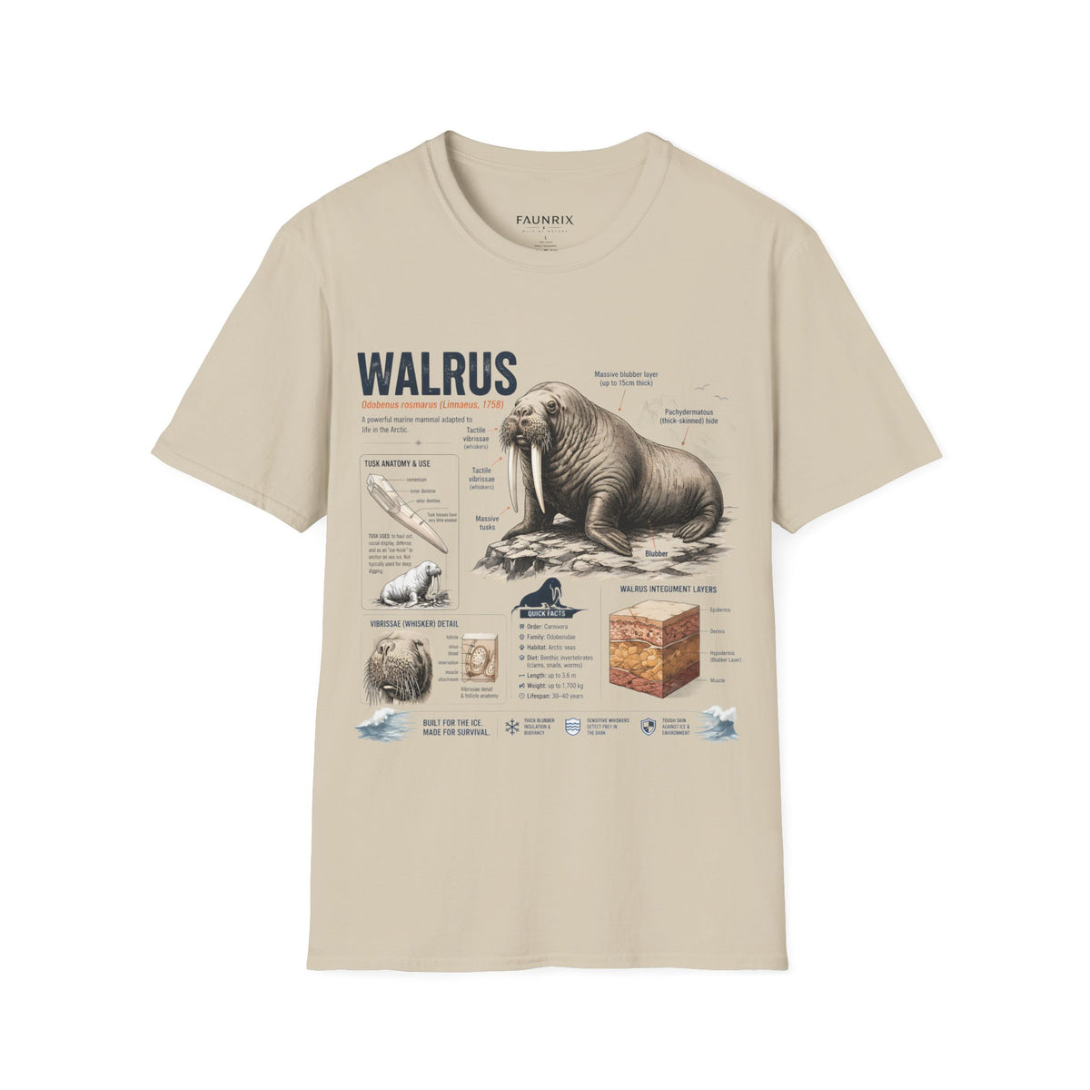 Walrus Anatomy T-Shirt — Illustrated Marine Mammal Facts Tee