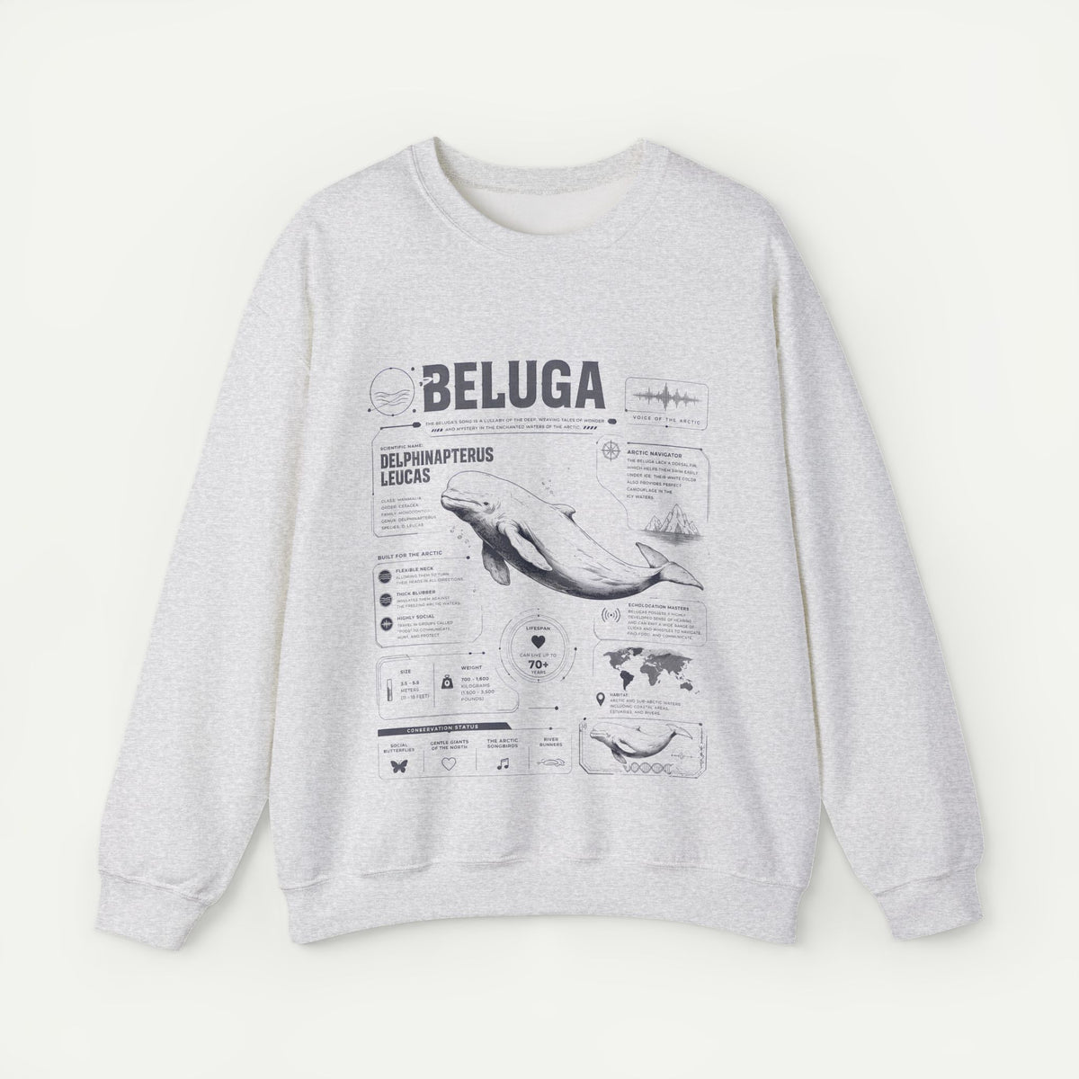 Beluga Whale Anatomy Sweatshirt