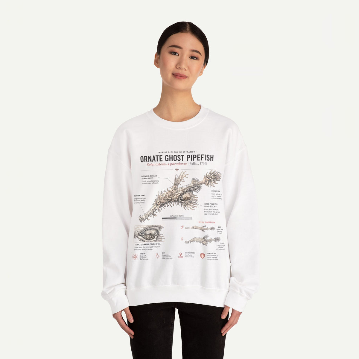 Ornate Ghost Pipefish Anatomy Sweatshirt