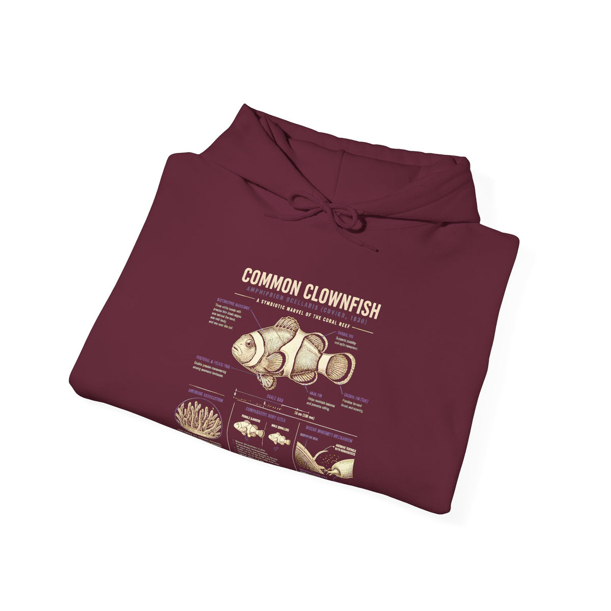 Hoodie — Cheesecake Flavor Chart Graphic Hoodie
