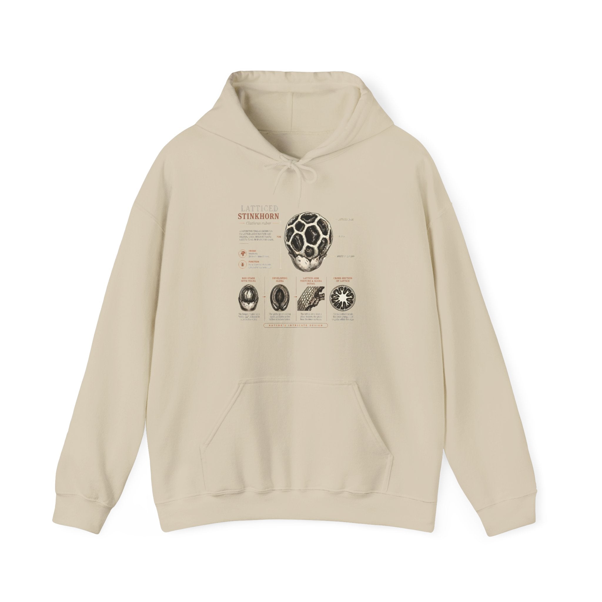 Hoodie — Mushroom Anatomy Chart Graphic Hoodie Secondary image