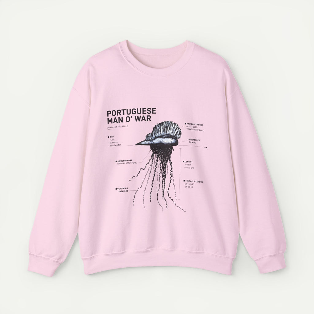 Portuguese Man O' War Anatomy Sweatshirt